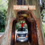 Drive Through Big Redwood Tree in Avenue of the Giants tour